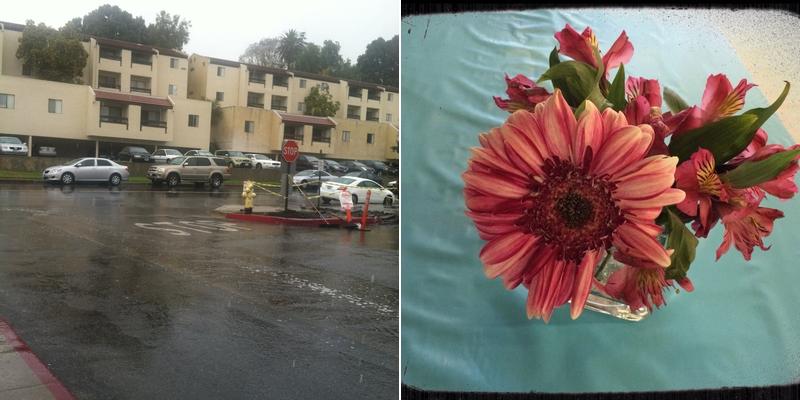 Councilors Student Pavilion