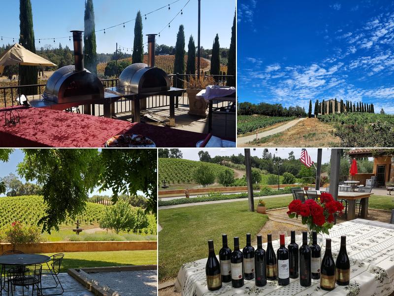 Morse Wines and Il Gioiello Winery