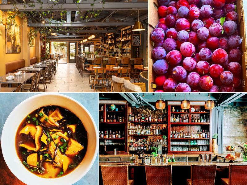 Lo & Behold Bar + Kitchen 214 Healdsburg Ave, Healdsburg