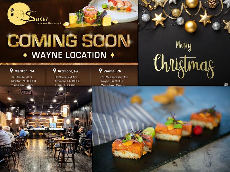 Osushi - Ardmore 36 Greenfield Ave, Ardmore