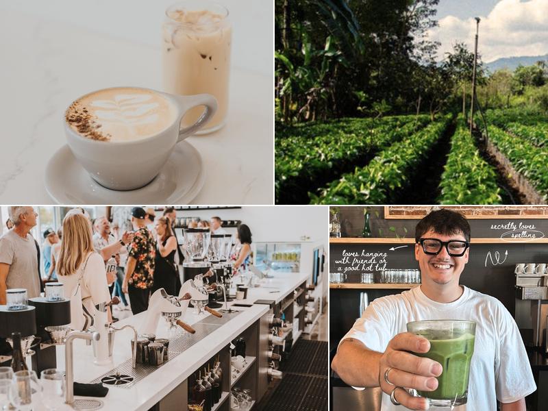 Theory Coffee Roasters 1401 Hilltop Dr Suite E5, Redding