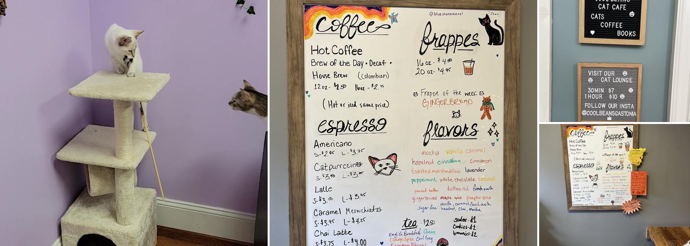 Cool Beans Cat Cafe Menu