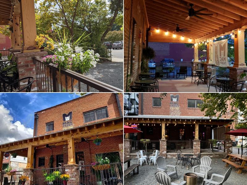 Mac Tabby Cat Cafe - Concord