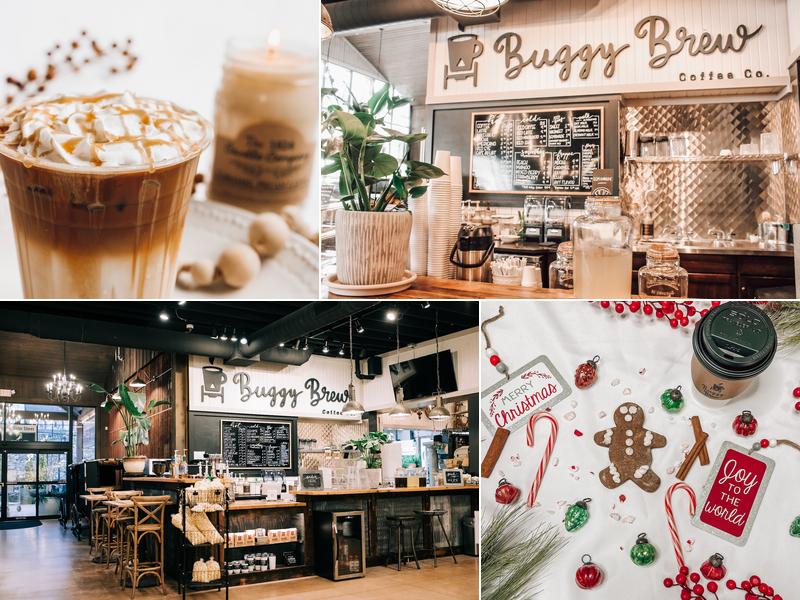 The Buggy Brew Coffee Co