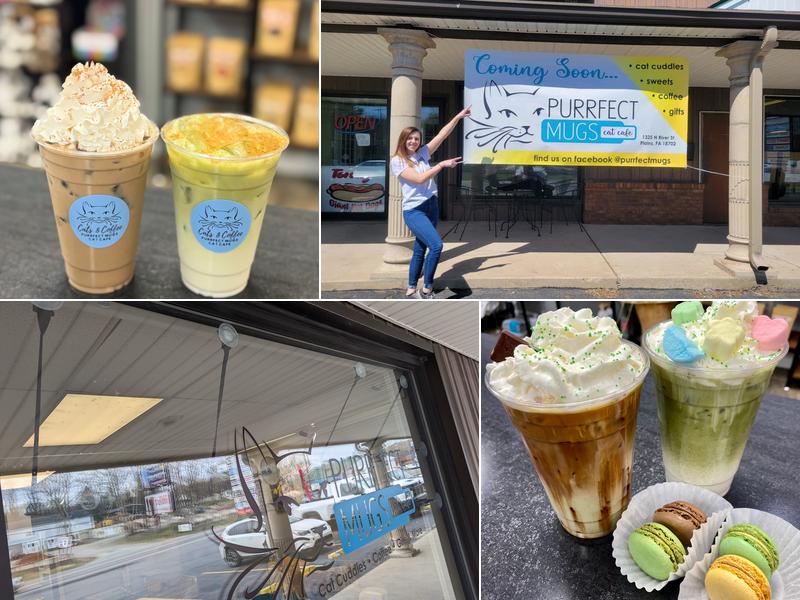 Purrfect Mugs Cat Cafe