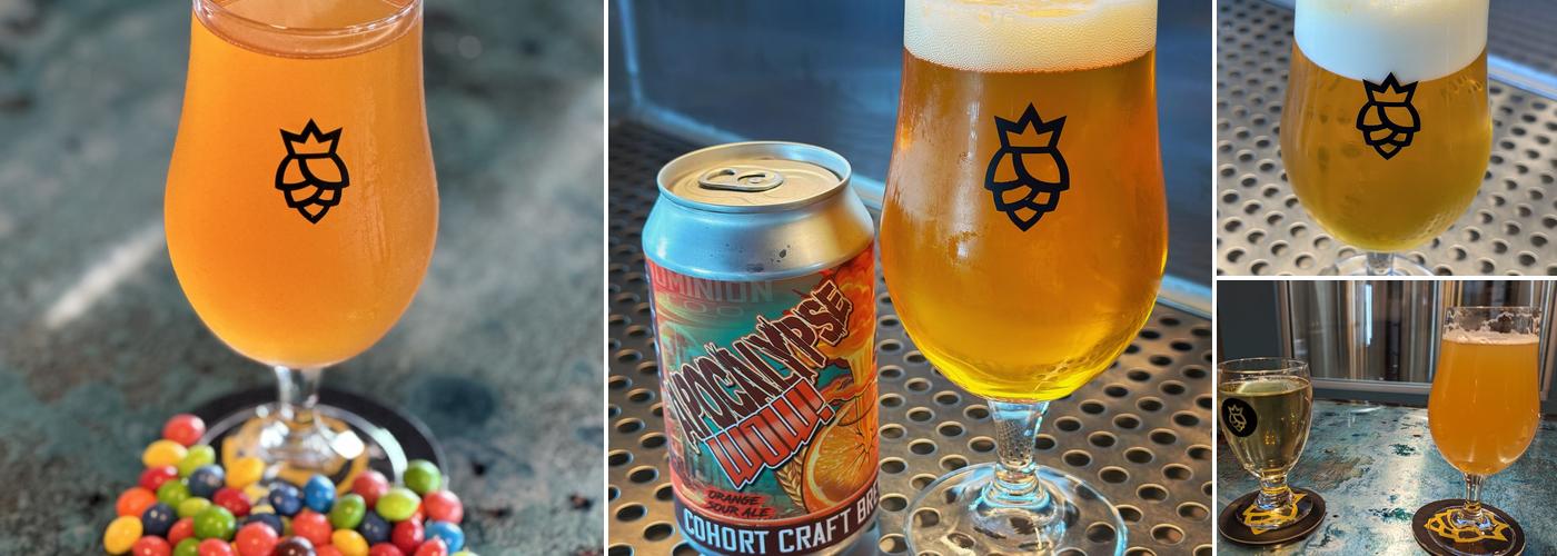 Cohort Craft Brewery