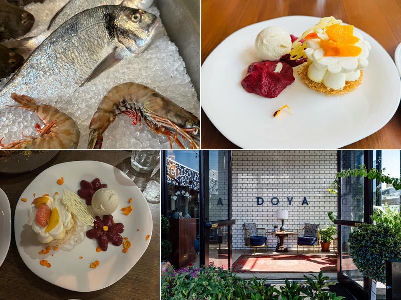 Doya 347 NW 24th St, Miami