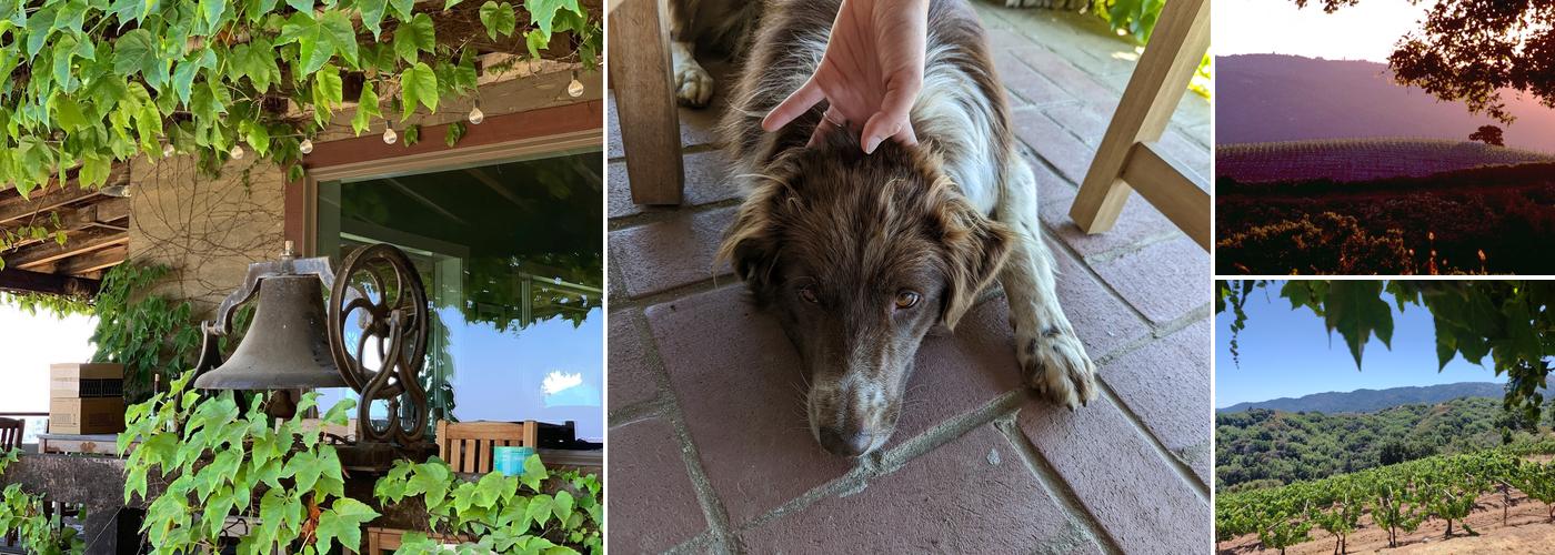 Mount Eden Vineyards