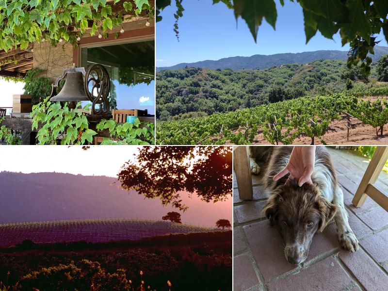 Mount Eden Vineyards 22020 Mt Eden Rd, Saratoga