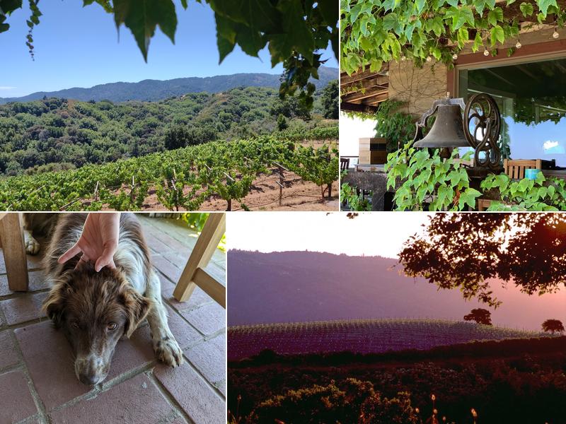 Mount Eden Vineyards