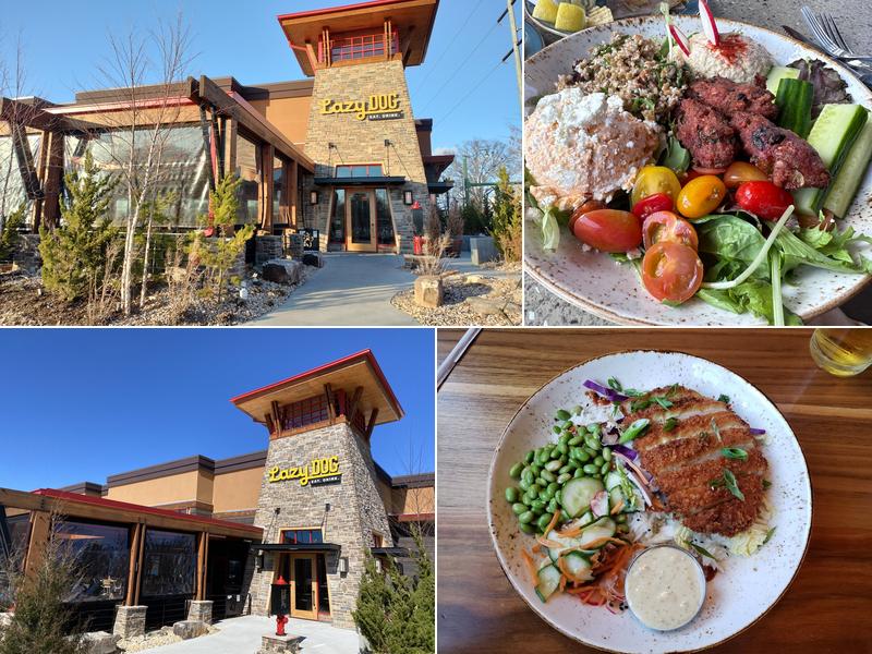 Lazy Dog Restaurant & Bar