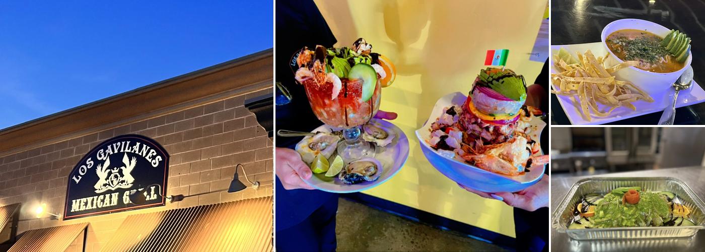 Los Gavilanes Mexican Grill