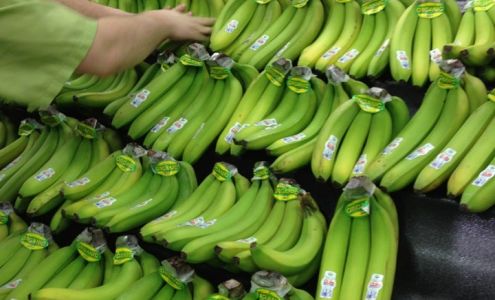 Fred Meyer Jewelers Fairbanks