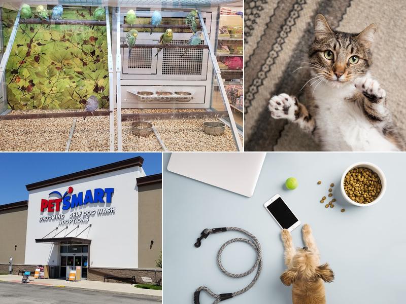 PetSmart