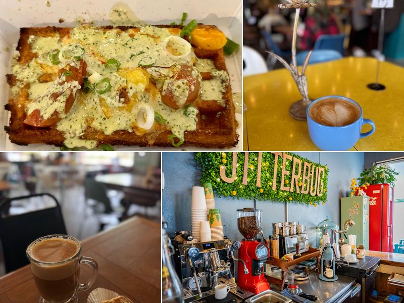 Jitterbug Beverage Co.