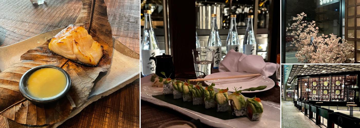 SHŌTŌ Washington DC