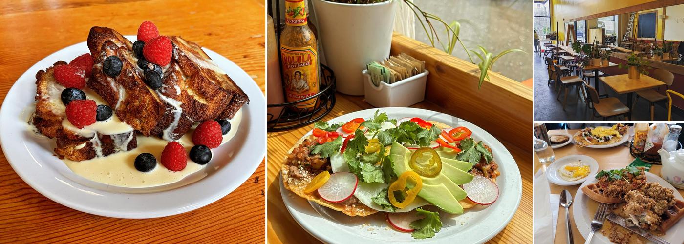 Flattop & Salamander