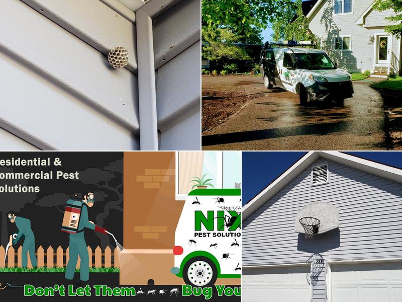 NIX Pest Solutions