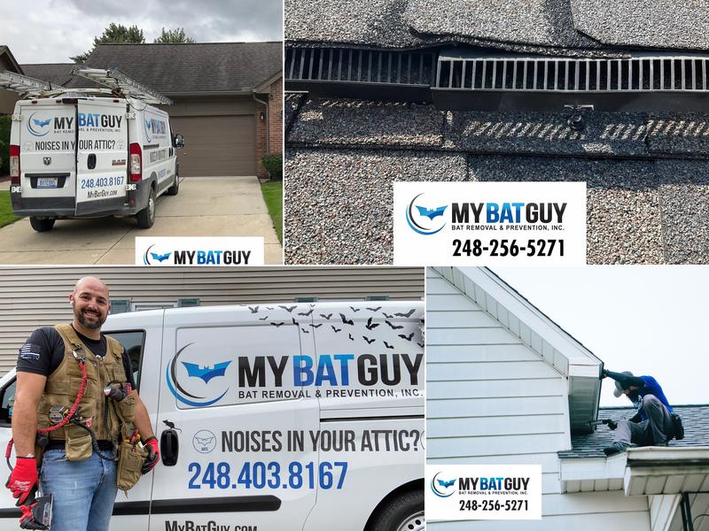 Bat Removal And Prevention, Inc.