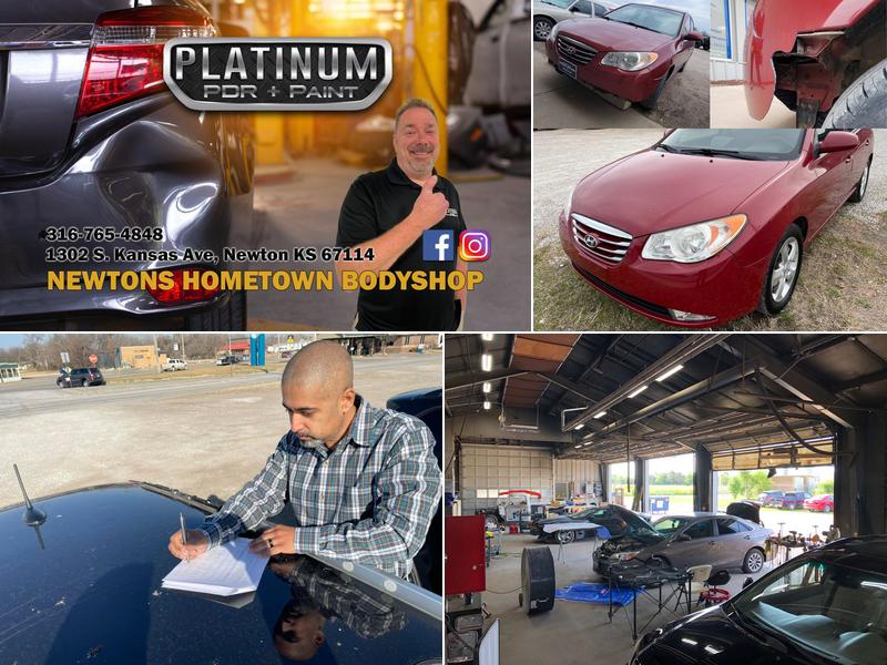 Platinum PDR Plus Paint