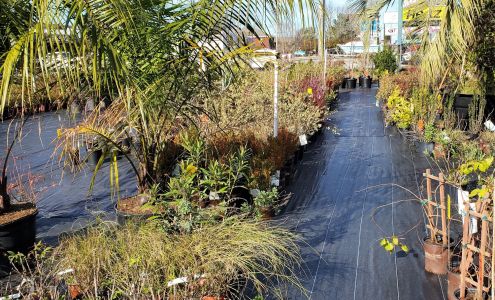 Mike's Produce & Plants