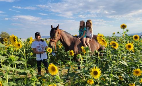 Nature Health Farms Petting Zoo, CBD, Alpaca Farm & Wedding Chapel in Pahrump
