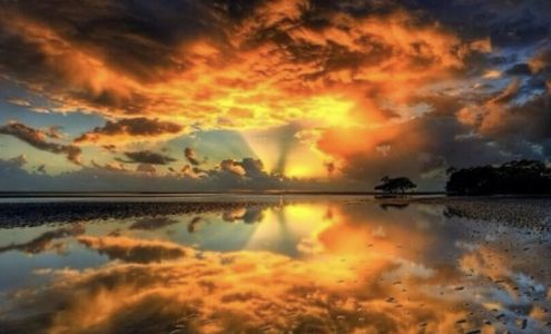 Stefanie Amber Reis - Keller Williams Realty Jersey Shore