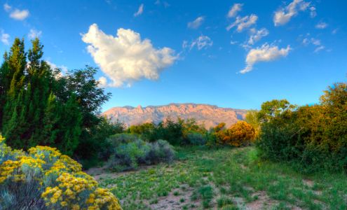 Coldwell Banker Legacy - Paseo Del Norte