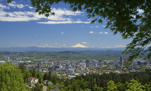 Pink Dot Properties, LLC