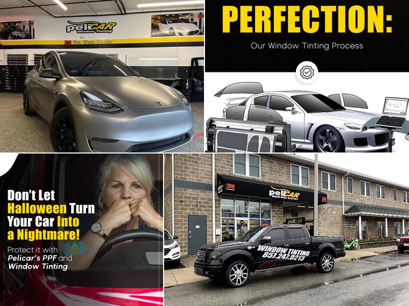 Pelicar Professional Window Tinting