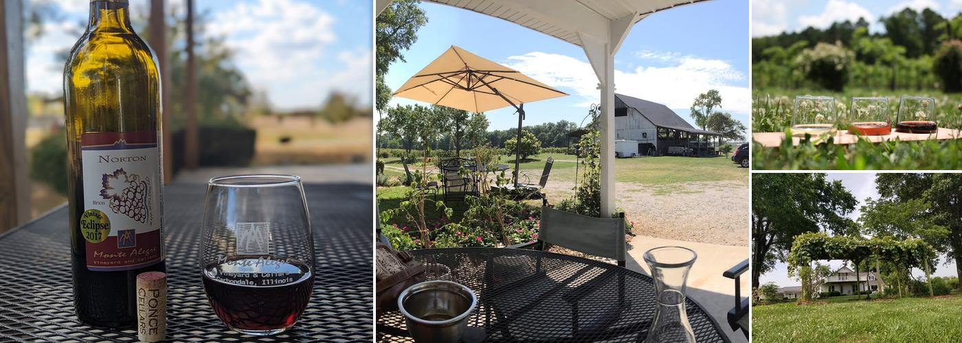 Monte Alegre Vineyard/Cellars