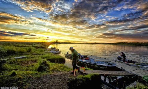 Angler's Alibi King Salmon