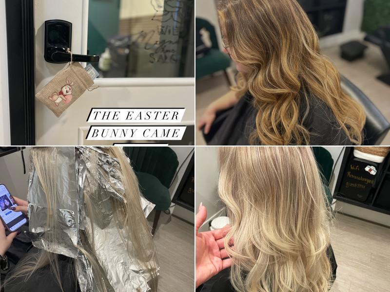 Wild Magnolia Hair Salon North Phoenix