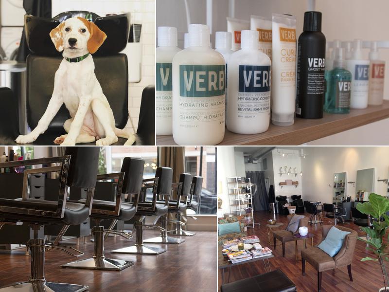 Vim & Vigor Salon