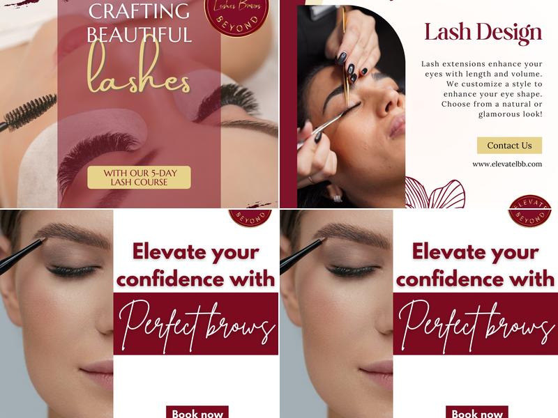 Elevate Lashes Brows Beyond