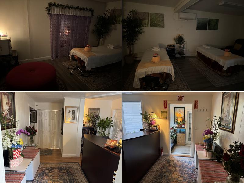 South Shore Reflexology