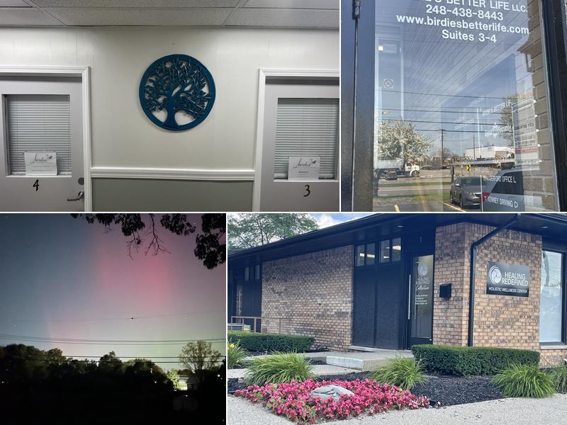 Birdie's Better Life, LLC