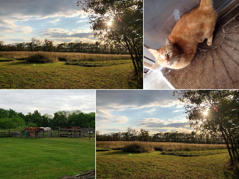 Integrated Touch Therapy