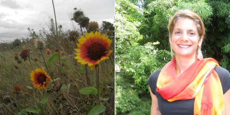 Massage To Wellness PDX