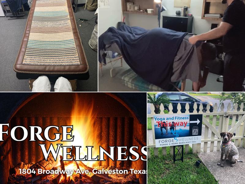 Forge Wellness