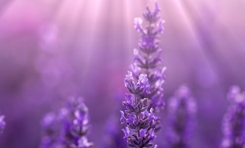 Infinite Care Aesthetics