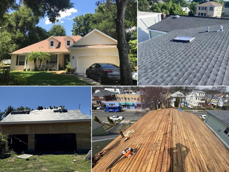 Raidex Roofing Service