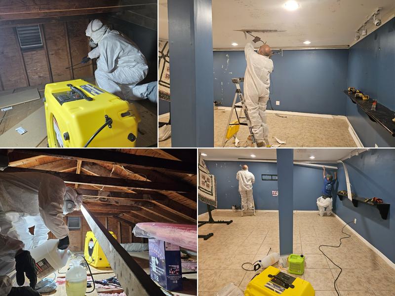 Jun Deegan Mold Remediation Services