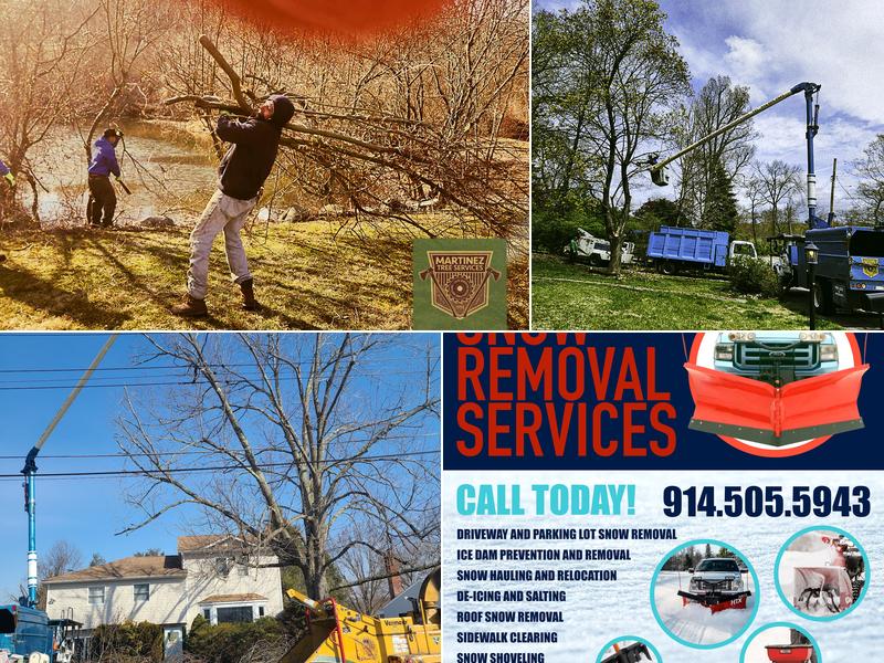 Martinez Tree Services