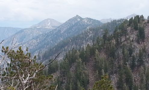 Bonanza Plumbing 820 Alder St, Carson City Nevada 89701