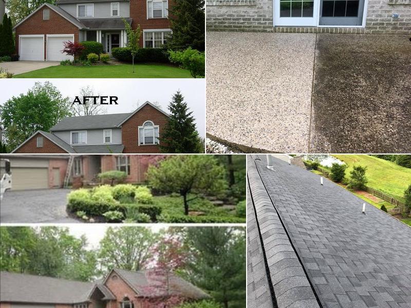 Medrano's Roof Cleaning