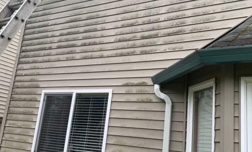D & C Pressure Washing