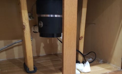 Ms. Elizabeth Nugent