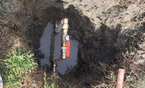 Eco Friendly Services