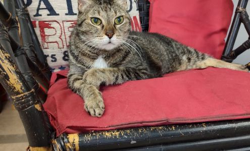 Kramer's Kutting Edge 5459 Pine Island Rd, Bokeelia Florida 33922